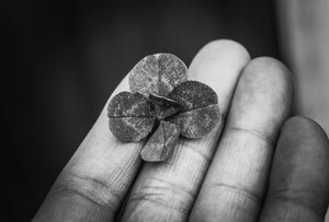 bầu cua di động F8bet